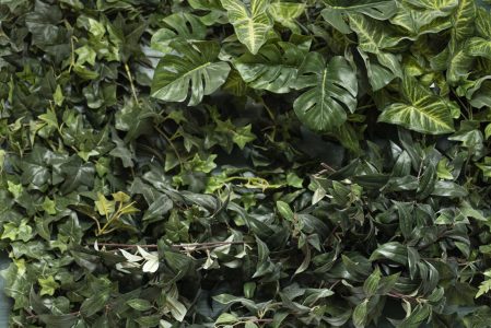 Vital Fabrik Inzersdorf